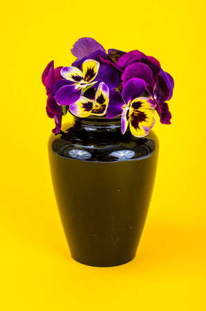 Small vase with bouquet of flowers on bright background. Studio Photoの写真素材