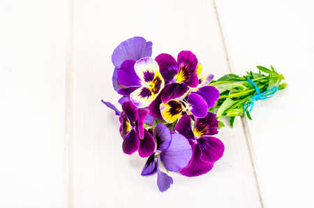 Little bouquet of Viola tricolor. Studio Photo