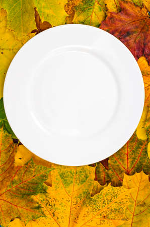 Layout for autumn menu, white plate, maple leavesの写真素材