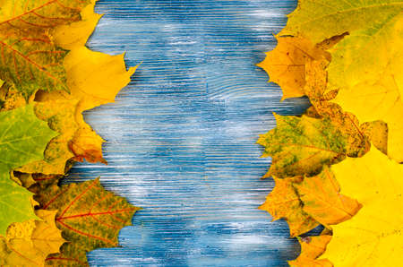 Colorful autumn leaves on blue wooden background