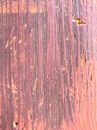 Old painted cracked wood surface. Studio Photo