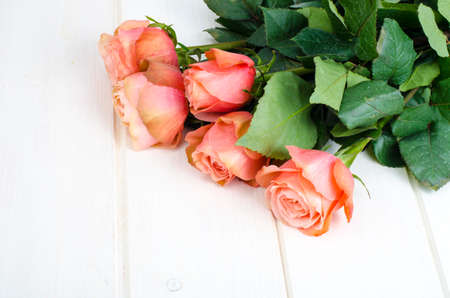 Pink roses on white wooden table. Studio Photo