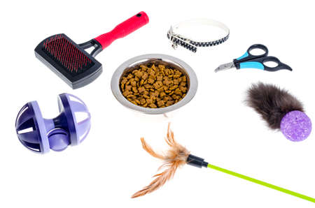Pet care accessories, food isolated on white. Studio Photoの写真素材