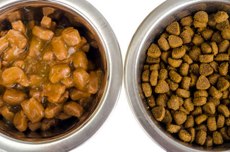Metal bowls with various pet food. Studio Photo