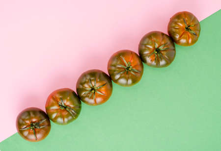 Fresh delicious tomatoes Solanum lycopersicum 'Raf'. Studio Photoの写真素材
