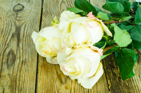 Heads of three white roses on wooden table. Studio Photoの写真素材