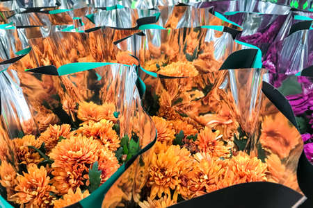 Bouquets of chrysanthemum flowers for holidays, gift. Studio Photoの写真素材