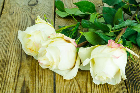 Heads of three white roses on wooden table. Studio Photoの写真素材