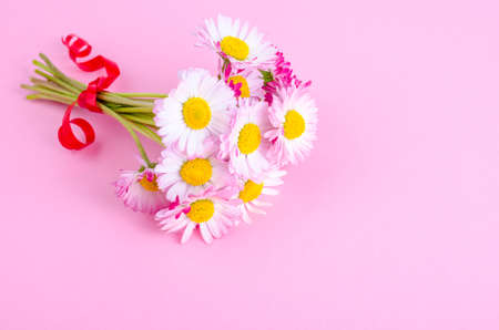 colorful Small bouquet of tender daisies. Studio Photoの写真素材