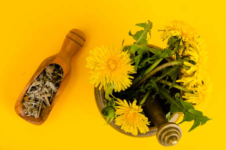 Medicinal plant in mortar. Alternative medicine. Studio Photoの写真素材