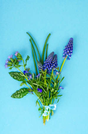 Beautiful small blue garden and wild flowers.の写真素材