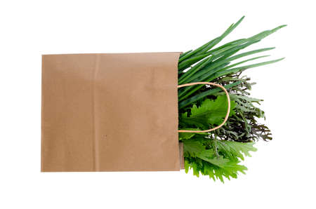 Fresh greens in paper bag. Studio Photo