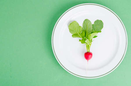 Red radish on plate. Vegetarian food concept, layout, menu.の写真素材