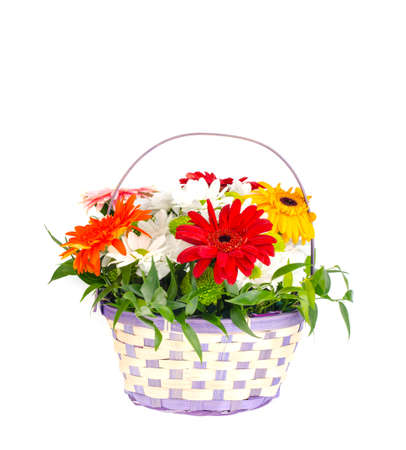 Basket with beautiful flowers isolated on white background. Studio Photoの写真素材