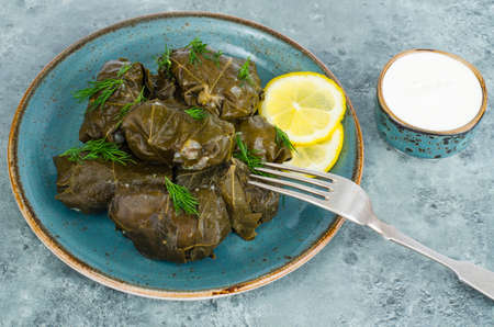 Dolma with meat, rice in grape leaves. Studio Photo