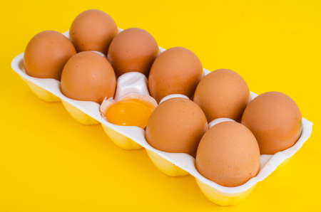 Chicken brown eggs and egg yolk in white form. Studio Photo