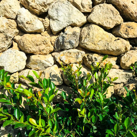 Texture, background, wall of large natural, untreated stones