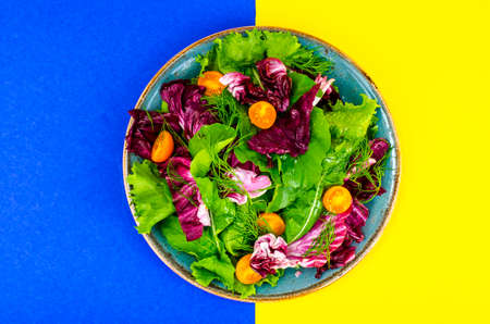 Layout for World Vegetarian Dayの写真素材