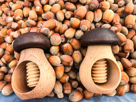 Unrefined hazelnut hazelnutsの写真素材