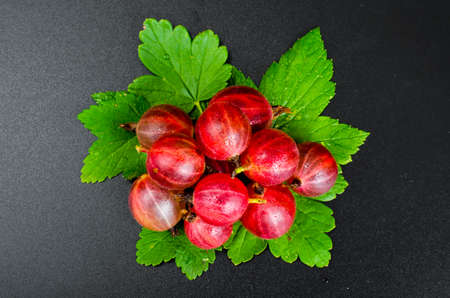 Red sweet berries of gooseberry on black backgroundの写真素材