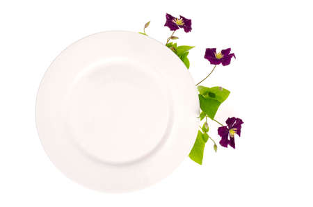 Plate with violet flowers, mock up for menu.の写真素材
