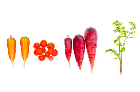Pieces of colorful raw carrots on white background. Studio Photoの写真素材