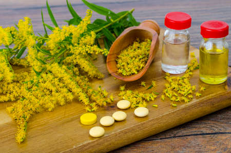 Pills and oil from medicinal plants. Studio Photoの写真素材