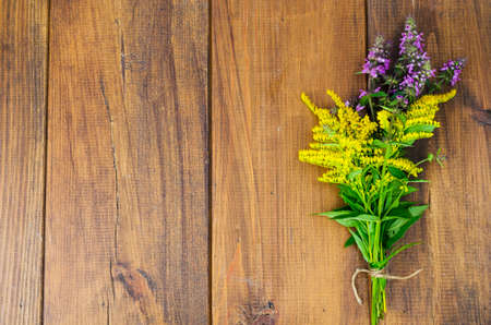 Bunch of wild wildflowers. Studio Photoの写真素材