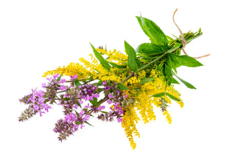 Bunch of wild wildflowers. Studio Photoの写真素材