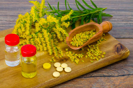 Pills and oil from medicinal plants. Studio Photoの写真素材