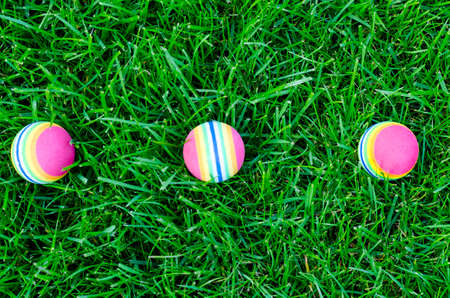 Colored little balls for cats, dogs on green grass. Studio Photoの写真素材