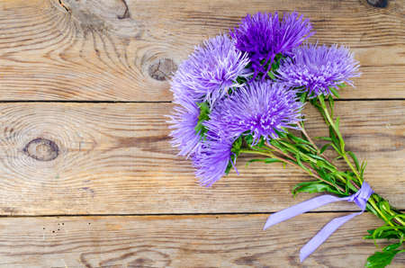 Autumn aster flowers multicolored on wooden background. Studio Photoの写真素材