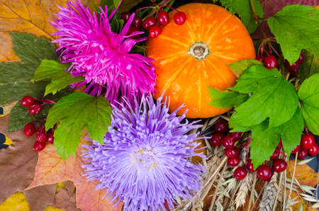 Colorful autumn background for Thanksgiving or Labor Day. Studio Photoの写真素材
