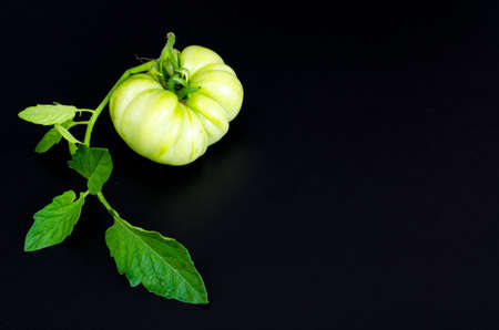 Green unripe tomato on black background. Studio Photoの写真素材