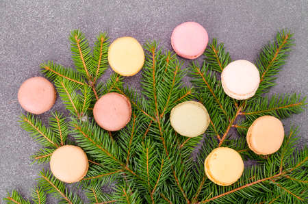 Macaroon decoration of tree branches for Christmas. Studio Photoの写真素材