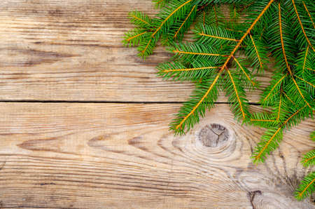 Christmas background, spruce branches on wooden surface. Studio Photo