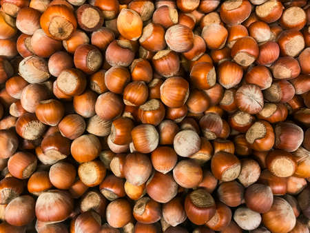 Hazelnut food background. Heap of unpeeled hazelnuts.Studio Photoの写真素材