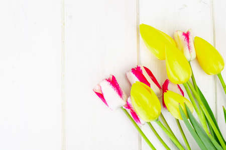Fresh garden multicolored tulips on white wooden table. Studio Photo