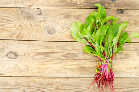 Young beetroot sprouts on wood background. Studio Photo