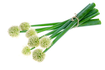 Beautiful flowering onion heads isolated on white background. Studio Photoの写真素材