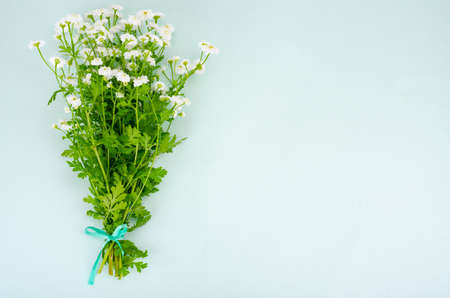 Bouquet of white small garden flowers on light green background. Studio Photoの写真素材