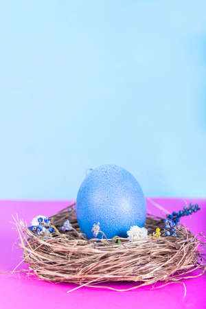 Colorful background with Easter eggs on pink and blue background. Happy Easter concept. Can be used as poster, background, holiday card. Flat lay, top view, copy space.の写真素材