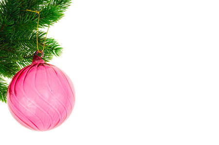 Christmas toy on fir branch with place for text, christmas concept.の写真素材