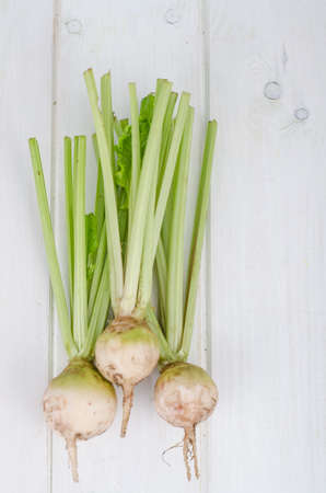 Fresh sugar white beet with stems, isolated on white background. Studio Photo