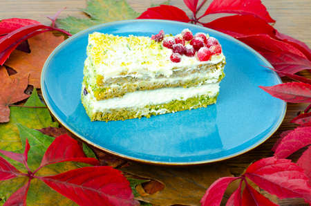 Piece of sponge cake with cream and berries on plate. Photoの写真素材