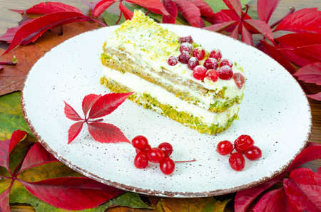 Piece of sponge cake with cream and berries on plate. Photoの写真素材