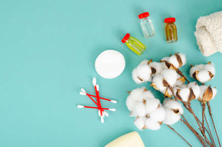 Composition with cotton flowers on bright background. Studio Photoの写真素材