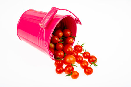 Harvesting. Red ripe tomatoes in colored buckets on white background. Studio Photoの写真素材