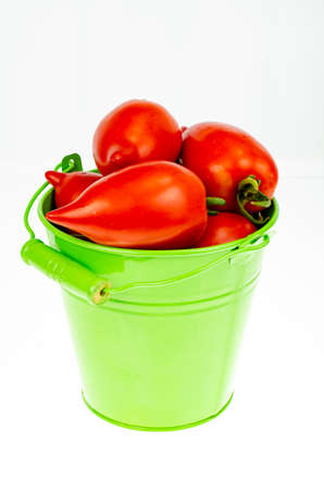 Harvesting. Red ripe tomatoes in colored buckets on white background. Studio Photoの写真素材