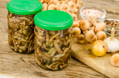 Pickled wild mushrooms in glass jar. Homemade preparations. Studio Photo.